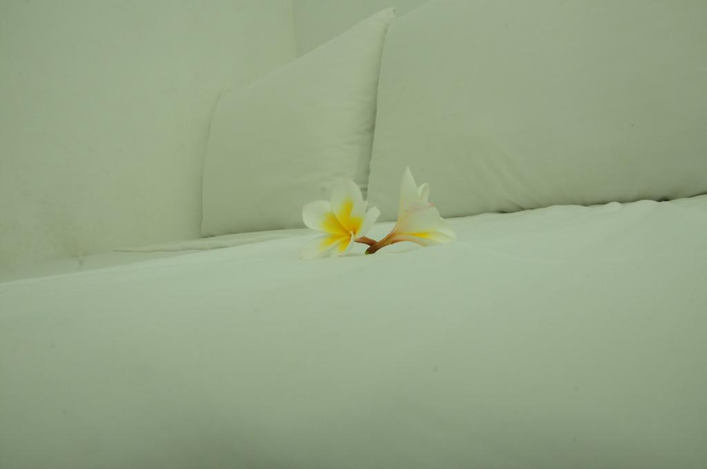 Villa Breeze Talpe Унаватуна Экстерьер фото